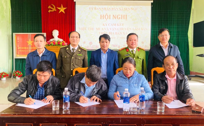 Thực hiện nghiêm túc các quy định về khai thác, tiêu thụ lâm sản