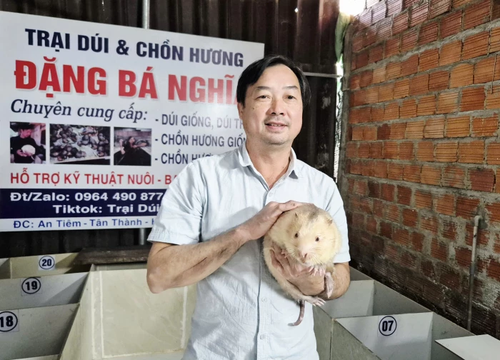 Hiệu quả từ nuôi dúi và chồn hương ở vùng biên