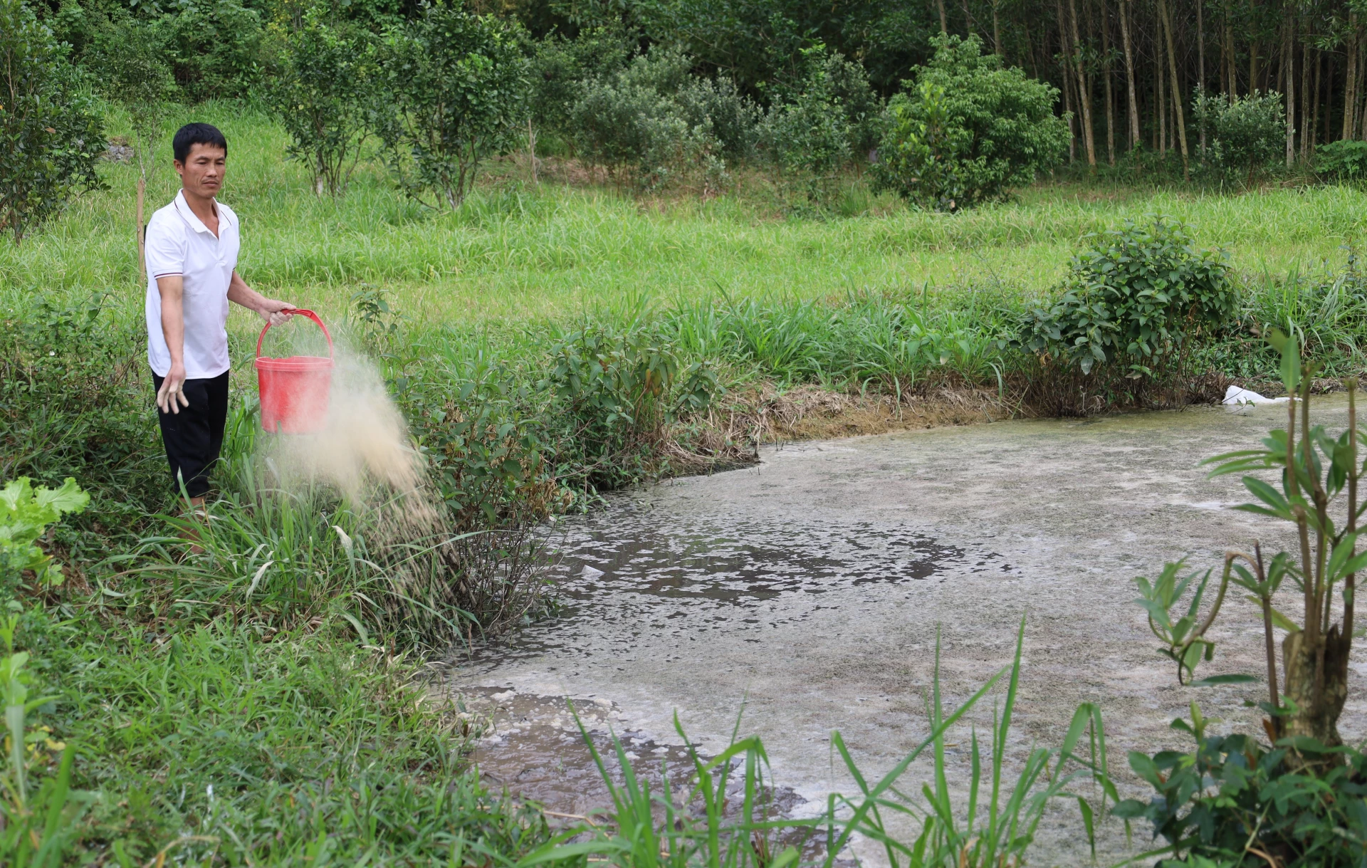 Từ mô hình sinh kế được hỗ trợ, anh Hà Quang Hải ở thôn Cao Cảnh, xã Tuyên Hóa đã vươn lên thoát nghèo - Ảnh: Th.H