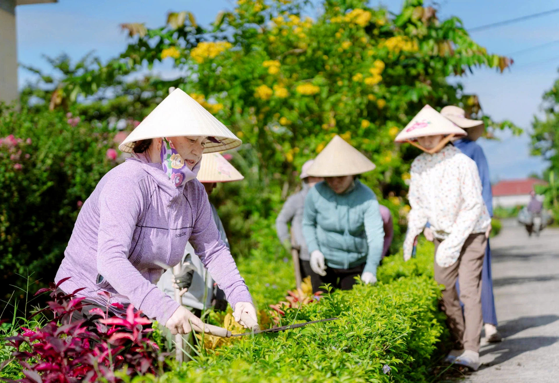 Chăm sóc đường hoa, cây cảnh góp phần tạo nên những khu dân cư xanh-sạch-đẹp tại xã Trường Phú - Ảnh: T.L