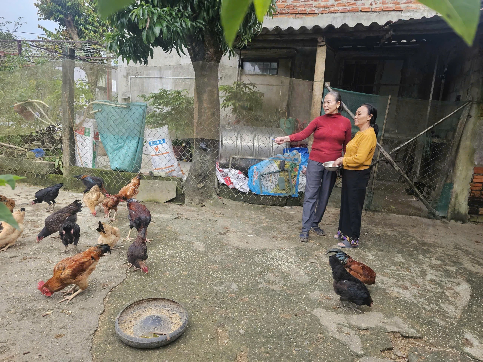 Bà Hiền luôn gần gũi, sâu sát với tổ viên vay vốn - Ảnh: T.P