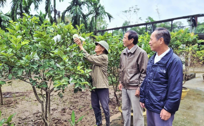 Xã Ái Tử: 'Ý Đảng, lòng dân' trong xây dựng khu dân cư kiểu mẫu