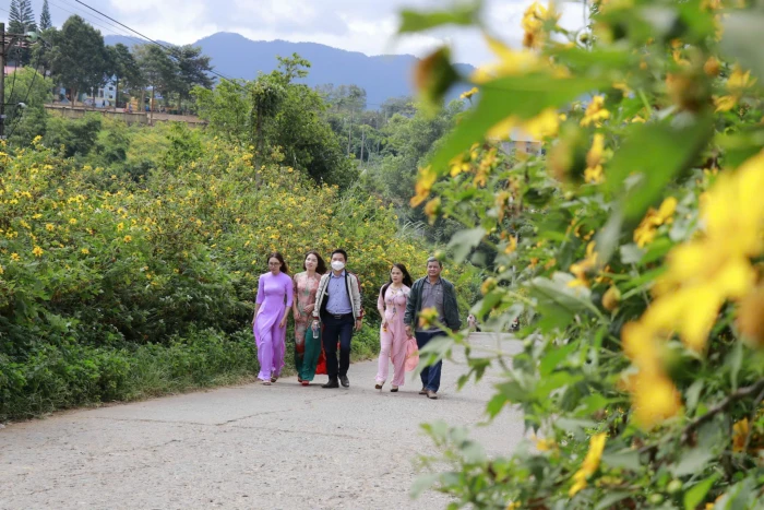 Mùa dã quỳ nơi miền biên ải