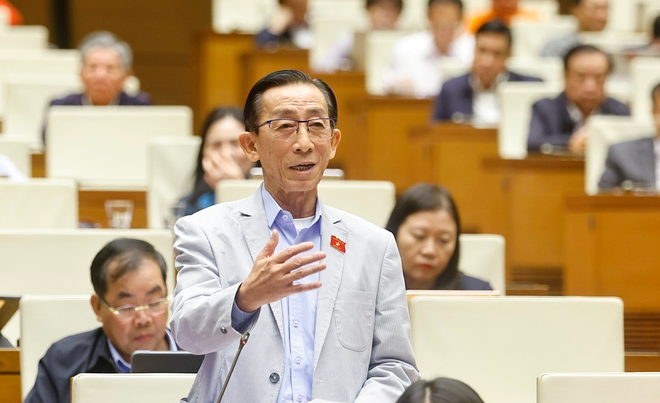 Đại biểu Quốc hội Trần Hoàng Ngân. (Ảnh: Doãn Tấn/TTXVN)