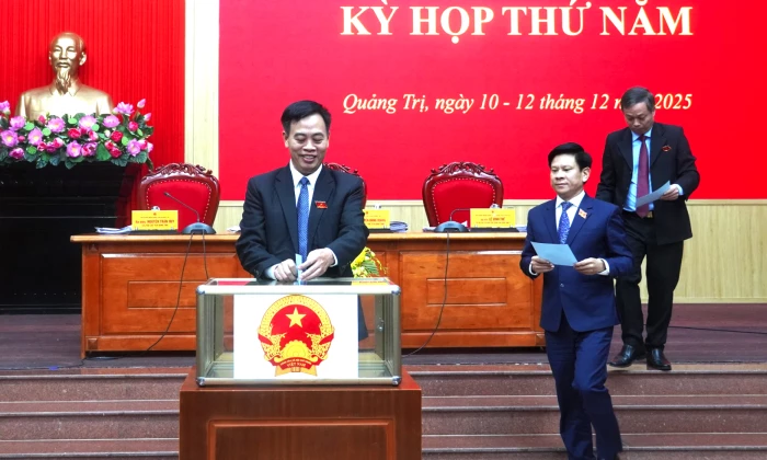 HĐND tỉnh thảo luận về các vấn đề cử tri quan tâm