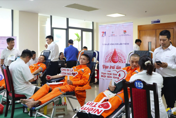 Tiếp nhận 227 đơn vị máu trong 'Tuần lễ hồng EVN' lần thứ XI năm 2025