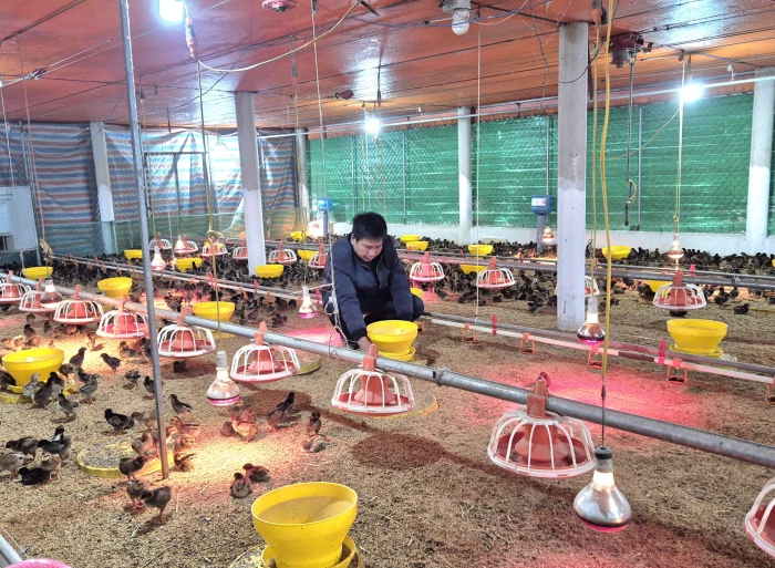 Vượt khó làm giàu trên vùng bán sơn địa