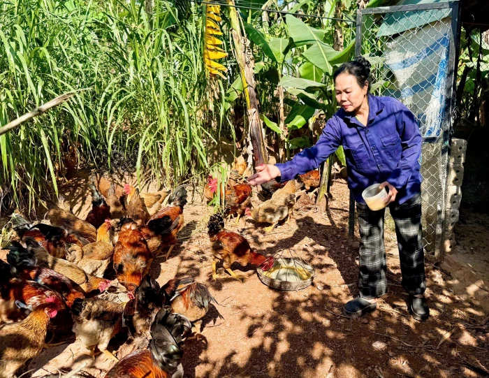 "Chìa khóa" mở lối sinh kế cho nông dân