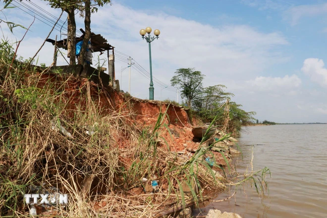 Hệ thống cây xanh, cột điện chiếu sáng dọc tuyến đường Trần Thánh Tông có nguy cơ đổ sập bất cứ lúc nào. (Ảnh: Tường Vi/TTXVN)