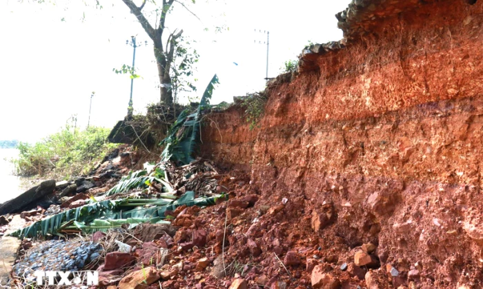 Quảng Trị: Nhiều đoạn bờ kè sông Thạch Hãn bị sạt lở nghiêm trọng
