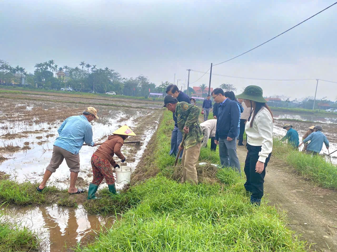 Ra quân vệ sinh đồng ruộng là bước chuẩn bị chủ động, tạo tiền đề vững chắc cho năng suất lúa trong thời gian tới