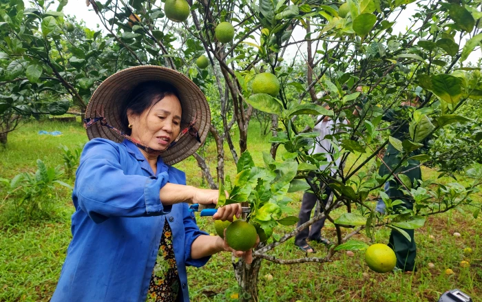Thênh thang dạo bước xứ Cùa