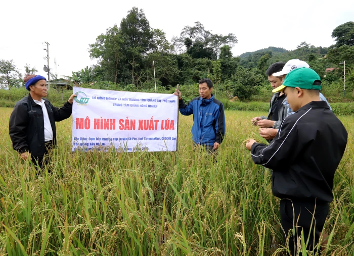 Tổng kết hỗ trợ phát triển sản xuất nông nghiệp tại cụm bản Chiêng Túp, tỉnh Savannakhet
