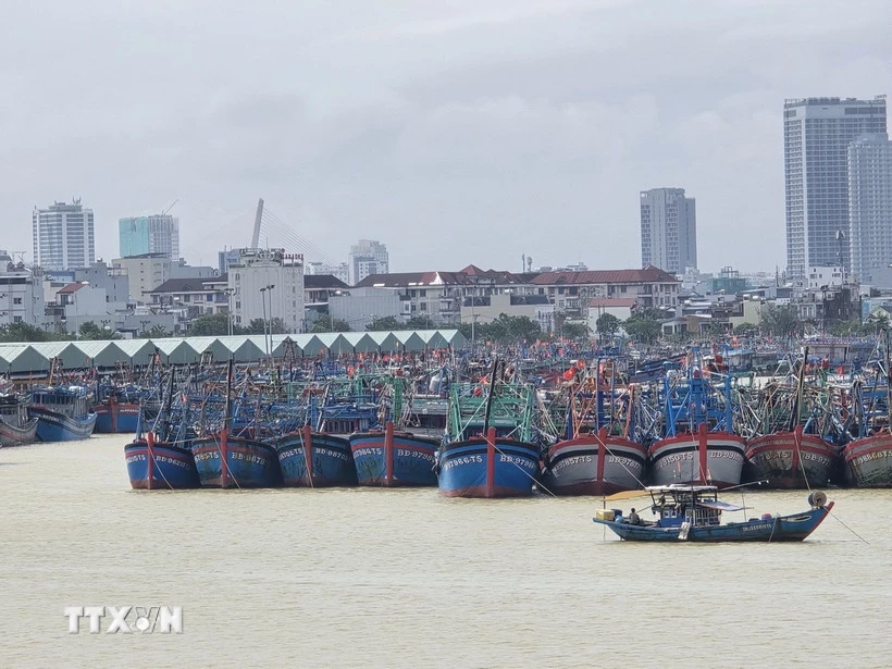 Tàu thuyền neo đậu tại âu thuyền Thọ Quang (phường Sơn Trà, thành phố Đà Nẵng) để tránh trú bão. (Ảnh: Khoa Chương/TTXVN)