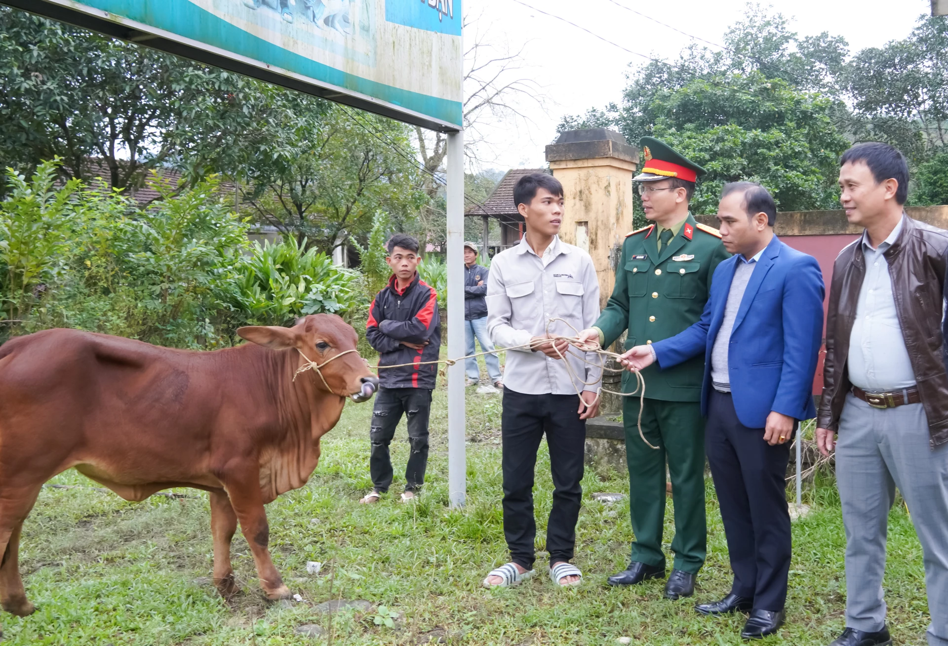 Đoàn KTQP 79 (Binh đoàn 15) trao tặng bò giống cho đồng bào Bru-Vân Kiều xã Kim Ngân - Ảnh: N.H