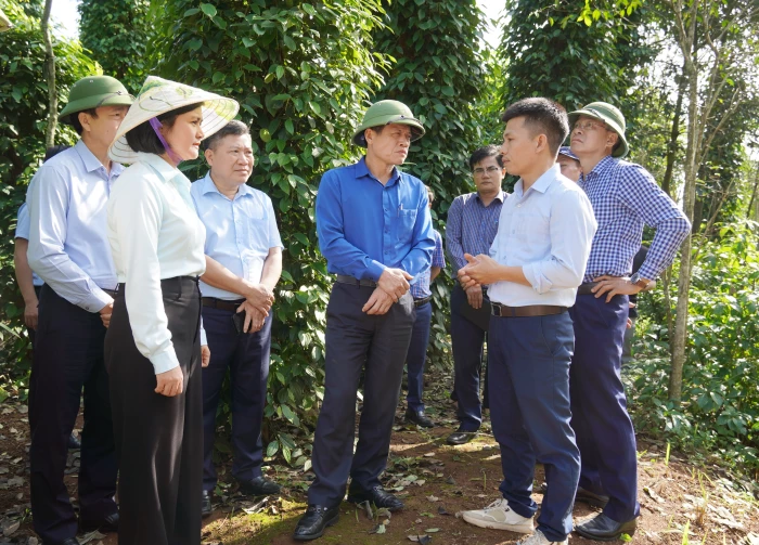 Lãnh đạo tỉnh kiểm tra tình hình sản xuất khu vực phía Nam