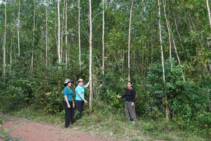 Lan tỏa tinh thần sẻ chia từ mô hình vườn cây sinh kế