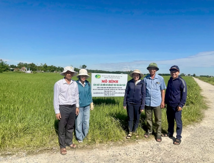 Nâng tầm hạt gạo