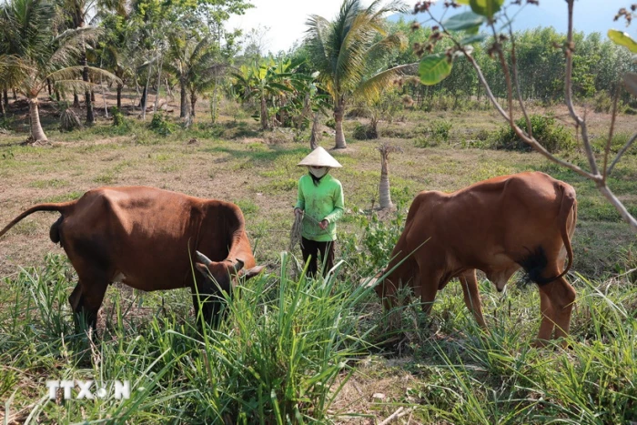 Ban hành quy định về chuẩn nghèo đa chiều quốc gia giai đoạn 2026-2030