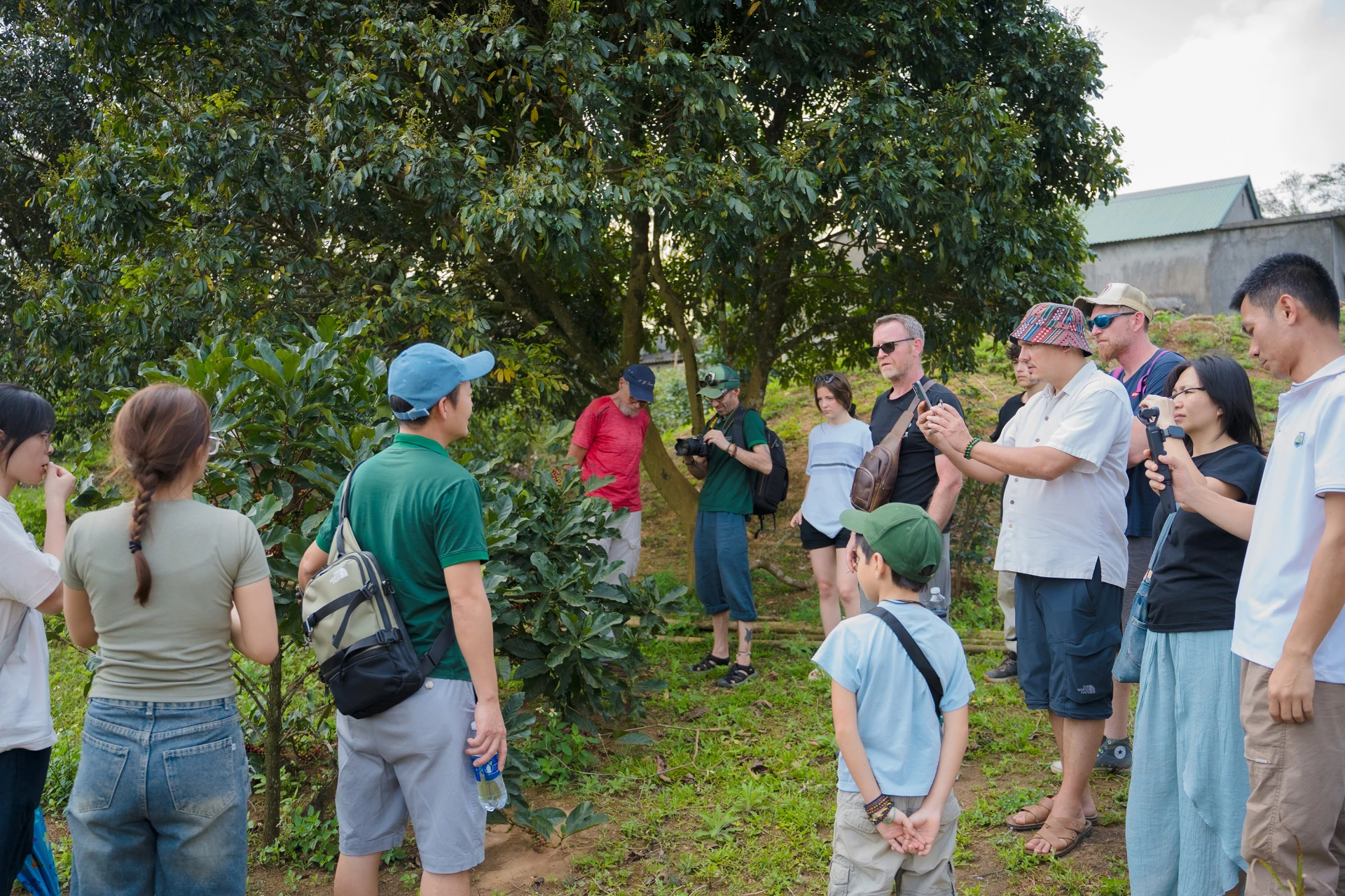Tour khám phá cà phê Khe Sanh thu hút du khách - Ảnh: D.H