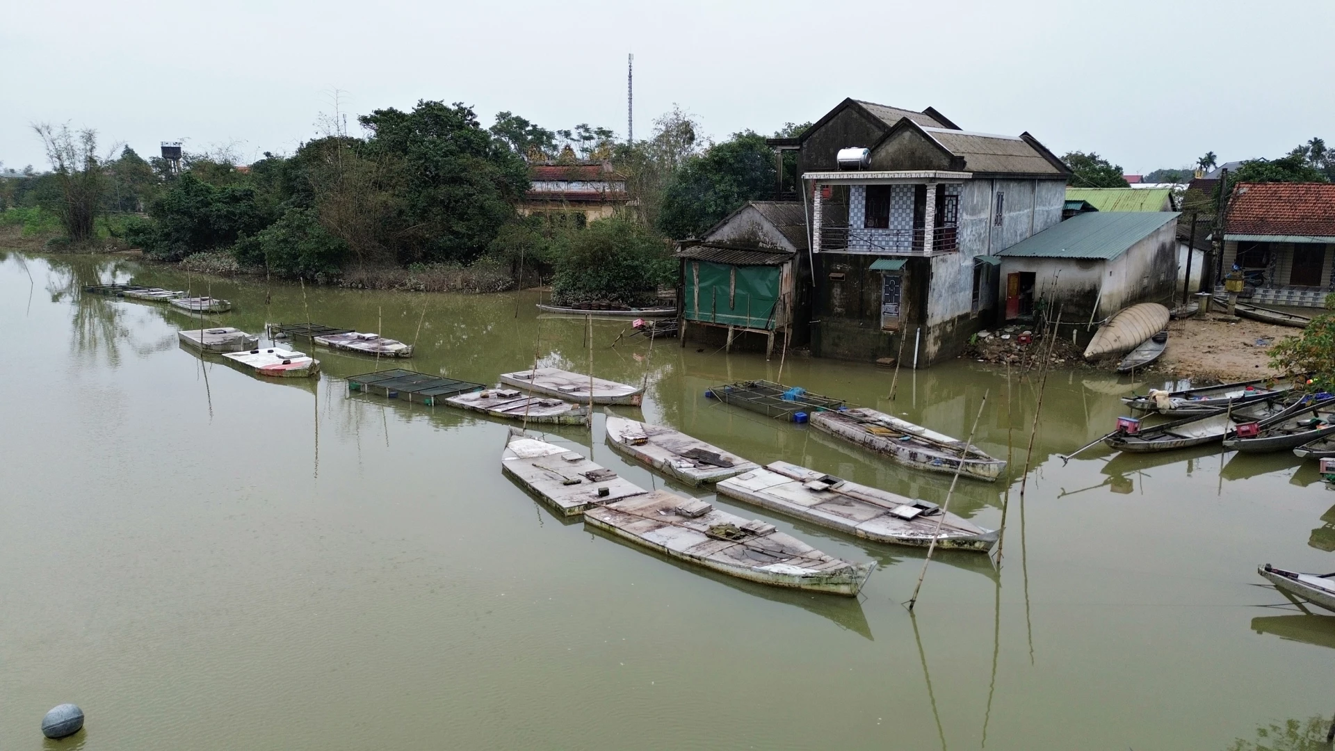 Vào mùa mưa lũ, các lồng nuôi cá được đưa vào sát bờ và kết nối với nhau chắc chắn - Ảnh: L.A