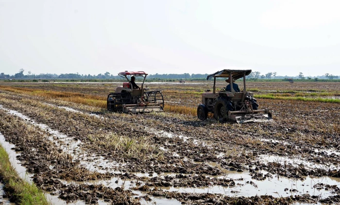 Chủ động triển khai sản xuất vụ đông-xuân