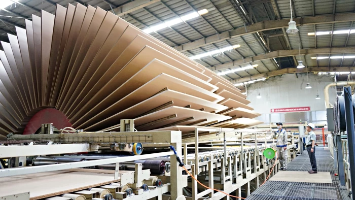 Đưa gỗ rừng trồng ra thế giới