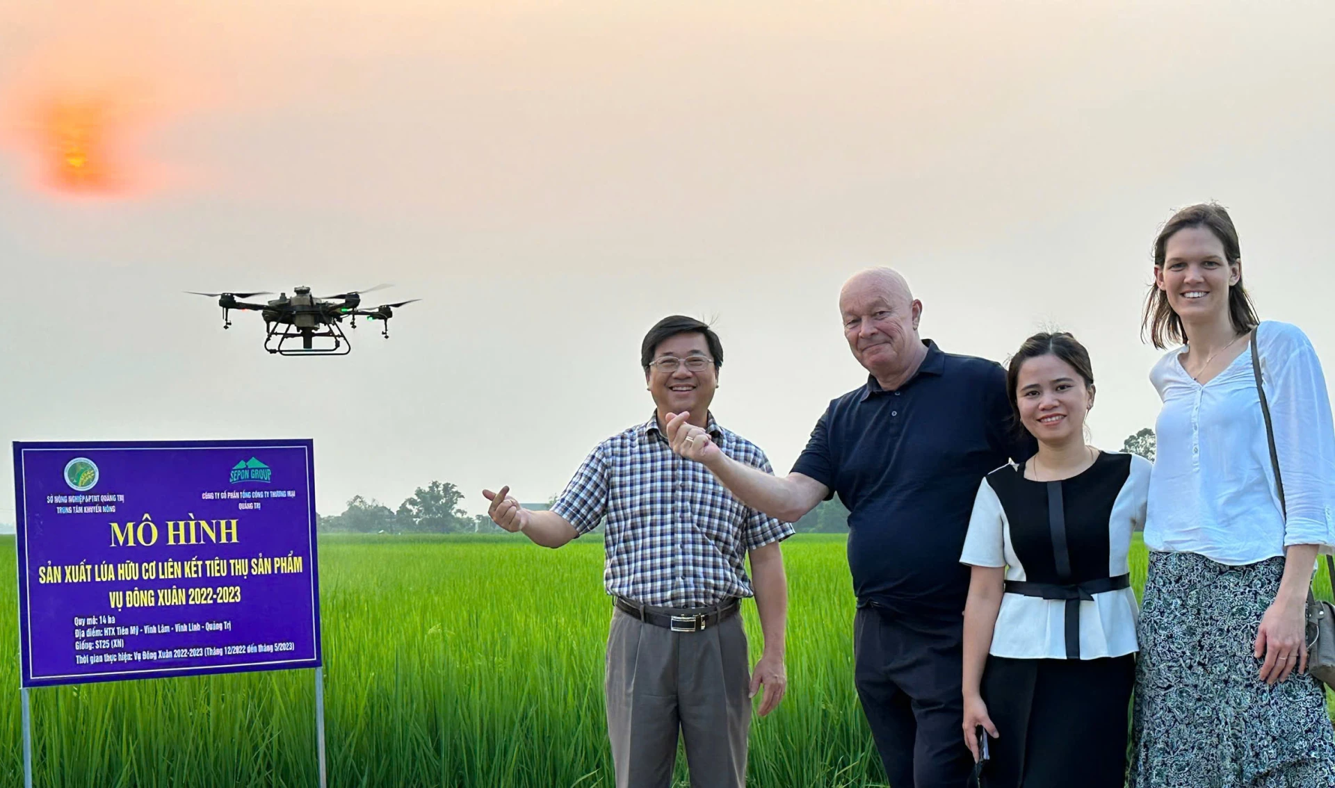 Mô hình sản xuất lúa hữu cơ của Công ty CP Tổng Công ty Thương mại Quảng Trị - Ảnh: Q.N