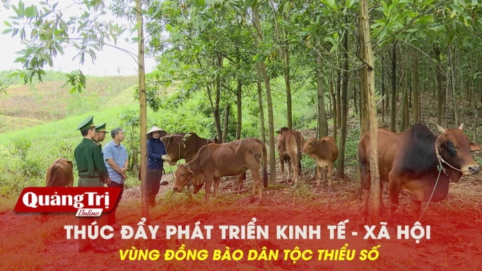 Thúc đẩy phát triển kinh tế - xã hội vùng đồng bào dân tộc thiểu số