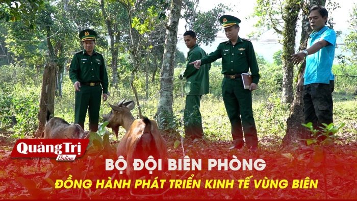 Bộ đội biên phòng đồng hành phát triển kinh tế vùng biên