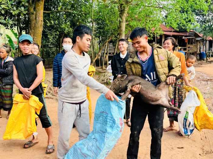 Trao 72 con lợn giống cho các hộ nghèo xã Thượng Trạch