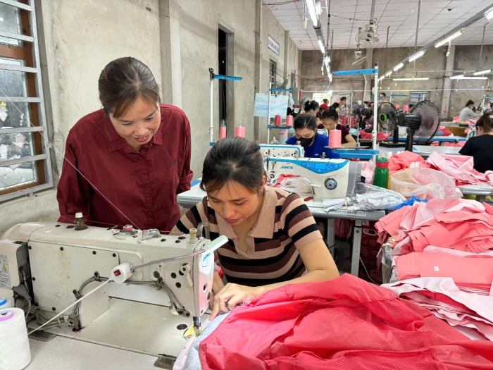 Chồi xanh vươn mình từ làng quê