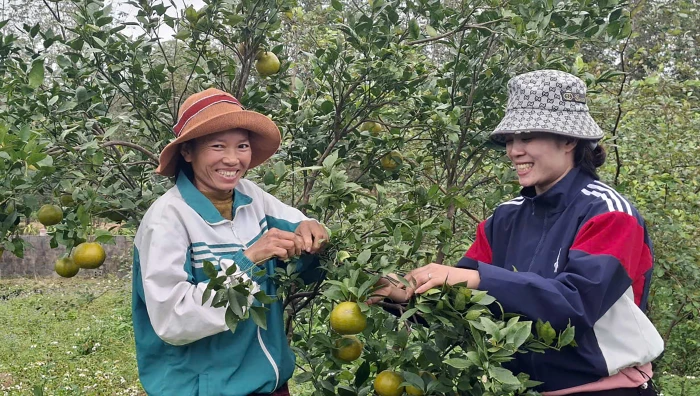 Tiếp cận kiến thức-'chìa khóa' giảm nghèo