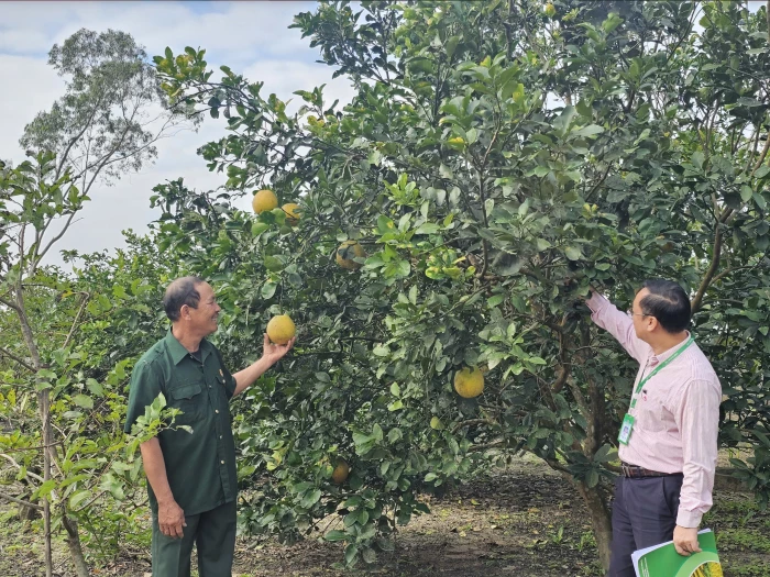 Giúp cựu chiến binh “vững vàng” trong thời bình