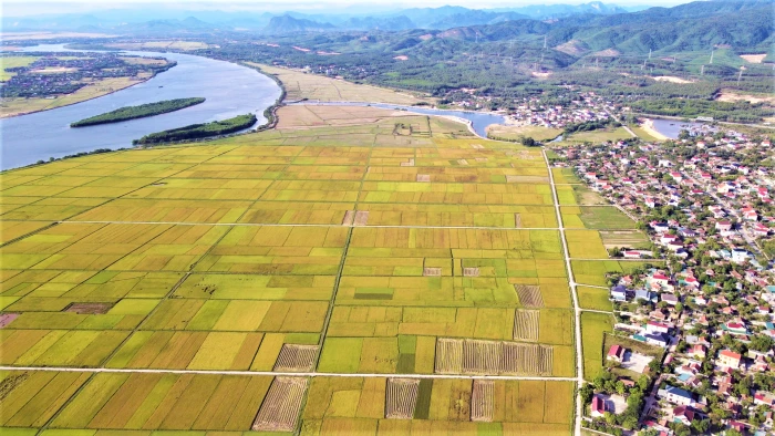 Dồn điền đổi thửa: Xu hướng tất yếu của nền nông nghiệp hiện đại - Bài 2: Tìm lời giải cho bài toán dồn điền đổi thửa