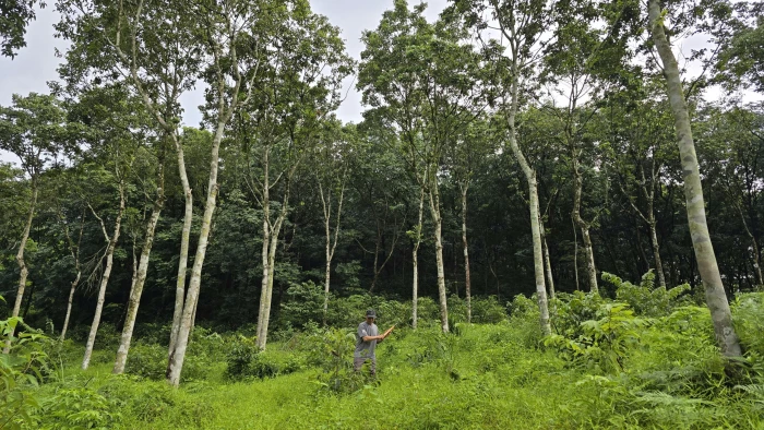 Phát triển kinh tế từ tài nguyên bản địa