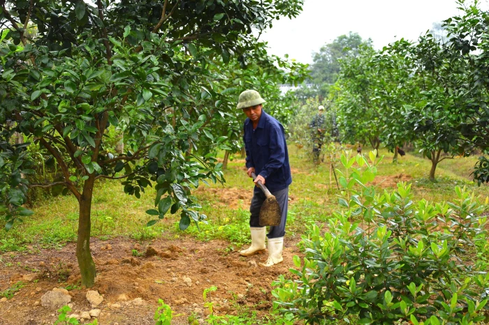 Hướng đến xây dựng nông thôn mới bền vững