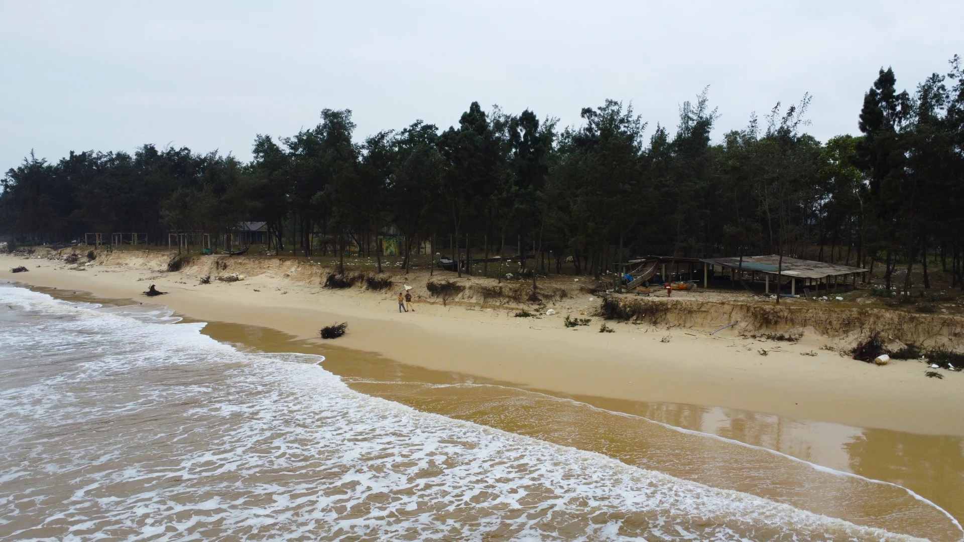 Từ tháng 10 đến nay, biển lấn sâu vào đất liền xã Bến Hải từ 20-30m, tạo thành bờ vực cao 1-2m - Ảnh: T.T