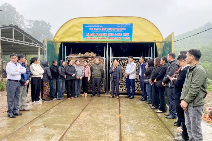 Chuyển giao kỹ thuật sấy nguyên liệu song mây sử dụng năng lượng mặt trời