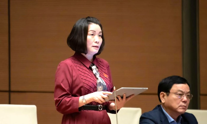 Đại biểu Quốc hội thảo luận về công tác phòng, chống tội phạm và Luật Thuế giá trị gia tăng