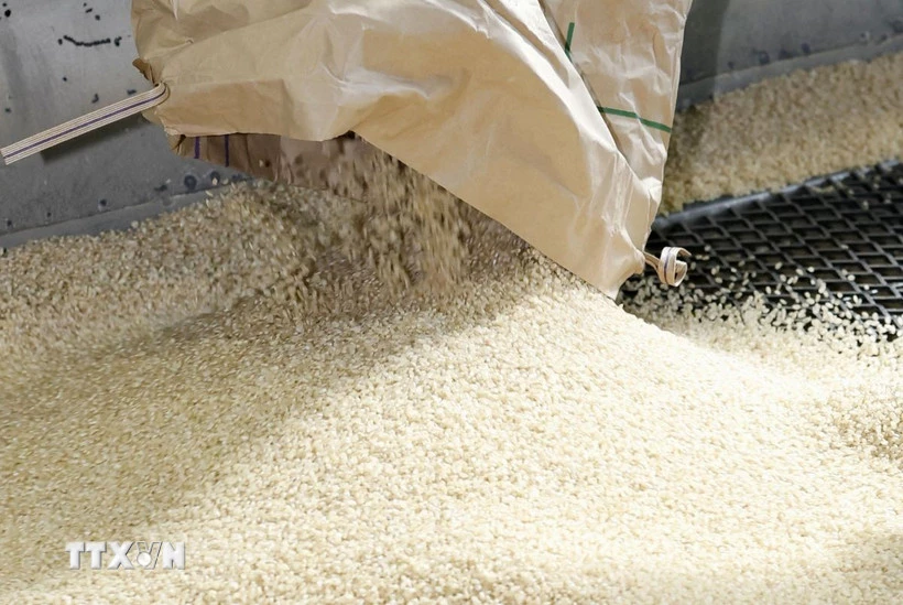 Gạo tại nhà máy xay sát ở Saitama, Nhật Bản. (Ảnh: Kyodo/TTXVN)