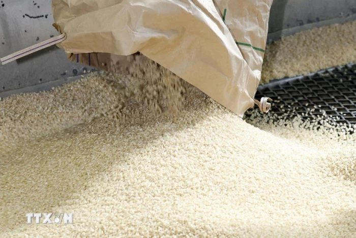 Dự báo năm 2026: Nguồn cung cao, giá gạo thế giới tiếp tục chịu áp lực