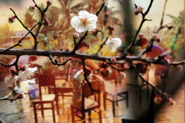 Mùa chạm vào nỗi nhớ...