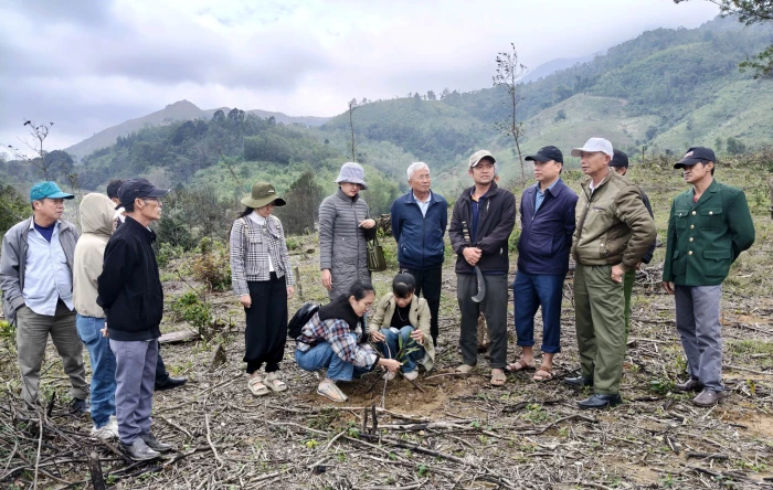 Tham quan mô hình trồng rừng thâm canh keo lai tại xã Hướng Phùng