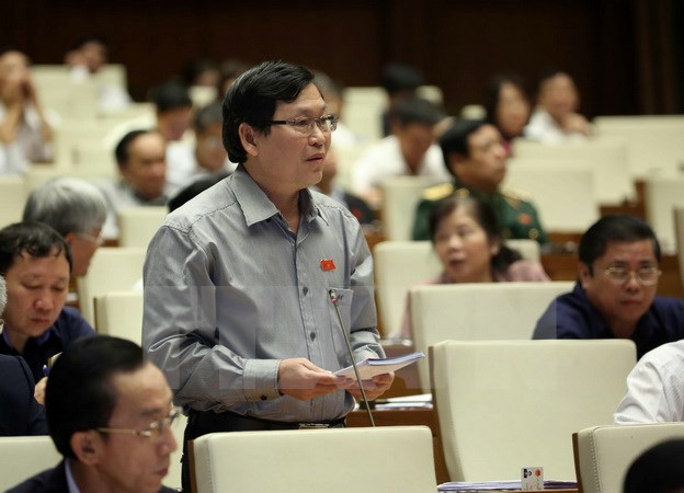 Đại biểu chất vấn về sự chênh lệch diện tích trồng bù rừng thay thế