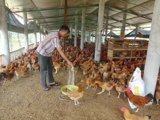 Quyết tâm làm theo lời Bác