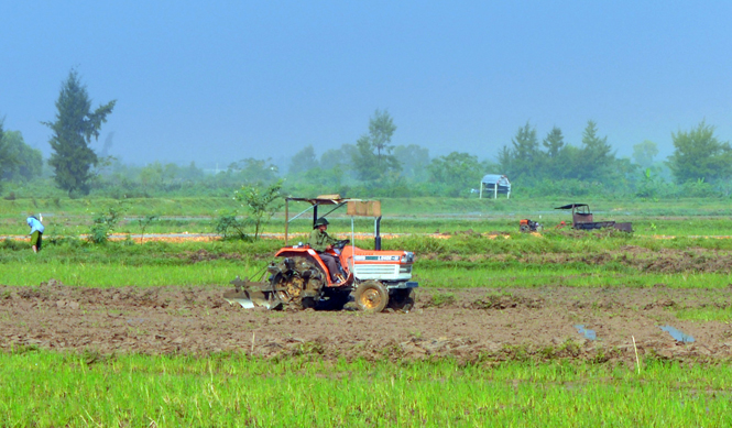 Quảng Ninh: Tích cực triển khai sản xuất vụ đông-xuân 2015-2016