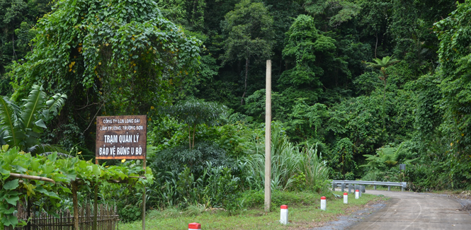 Đầu tư hơn 6,3 tỷ đồng xây dựng mới công trình cắm mốc 3 loại rừng