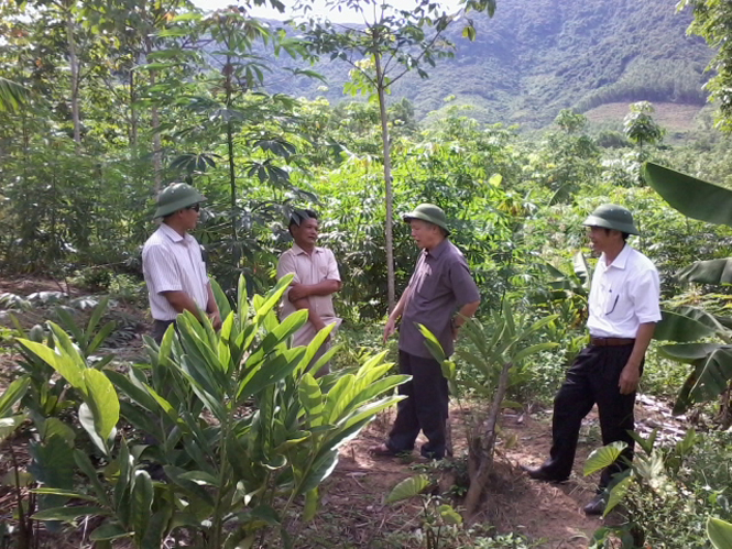 Thắng lợi trên mặt trận giảm nghèo