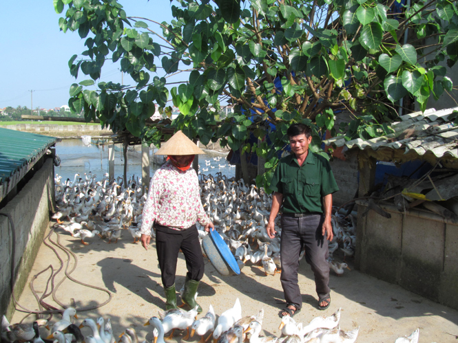 Nghị lực thoát nghèo của một cựu chiến binh